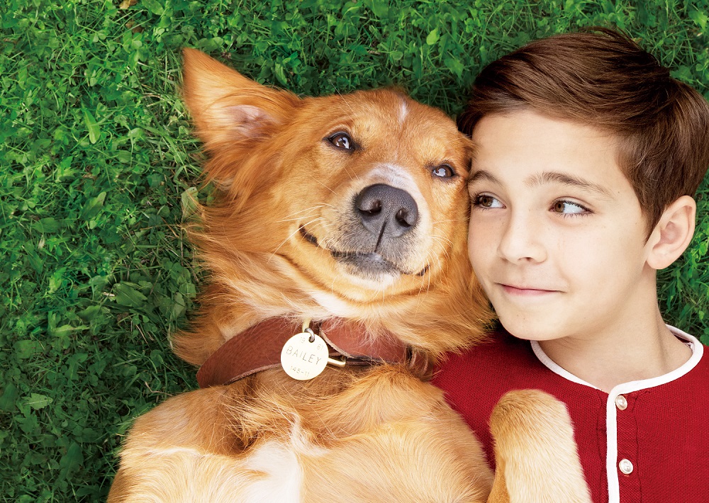 犬と人間の極上のラブストーリー『僕のワンダフル・ライフ』試写会にご招待🐶