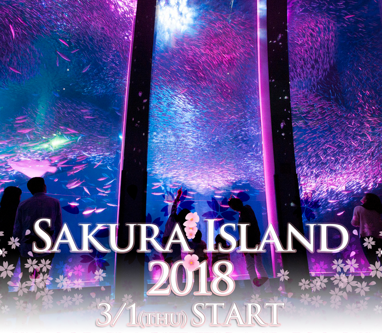 八景島シーパラダイスで楽しむ♬新感覚のお花見イベント🌸SAKURA ISLAND 2018🌸開催😘🙌
