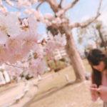 今しかできない！桜を可愛く撮る方法🌸
