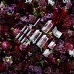 限定コラボコスメ『Erdem for NARS Strange Flowers Collection』😌💐♬