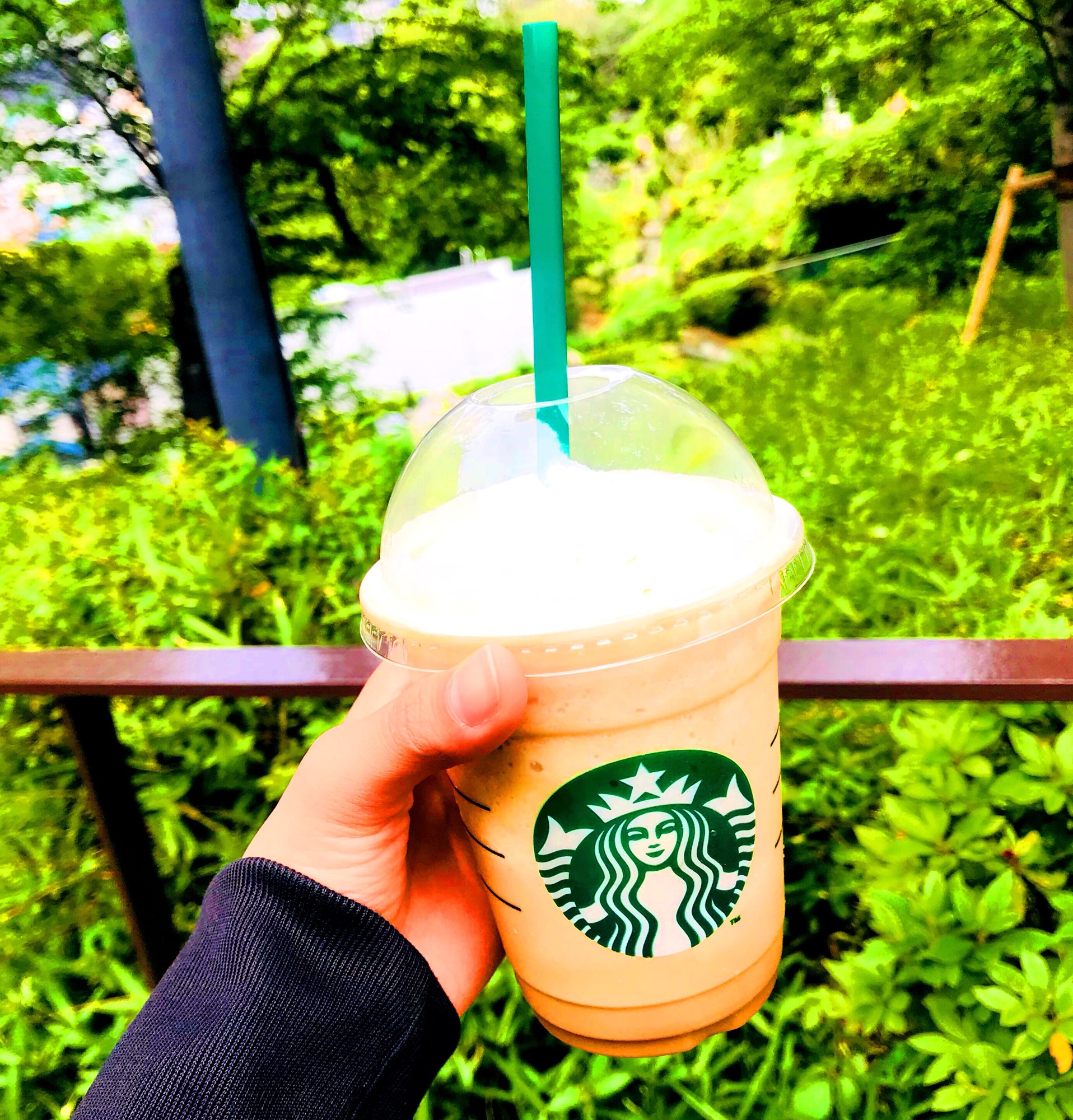 スタバの新作❗️甘すぎずほろ苦い大人のフラペチーノ☕️😋✨