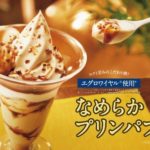 ミニストップから発酵バターとエグロワイヤルでさらにリッチ💕「なめらかプリンパフェ」🍮