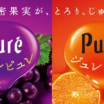 秋の濃密な味わい とろ〜りジュレが30%UPした新ジュレピュレが発売✨