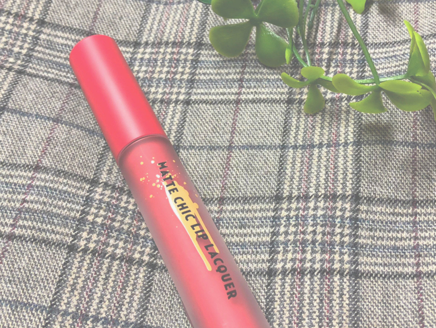 塗り直す必要なし！優秀なマットリップ💄💕