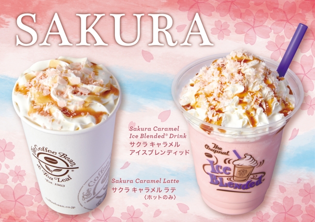 コーヒービーン&ティーリーフで飲める♡日本限定の春を感じる桜ドリンク🌸新発売✨