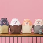 キュートなポメラニアンにしっかり収納❤️フェリシモからポメラニアンのきんちゃく収納発売🐶