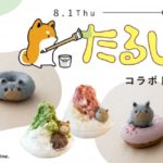 食べるのが勿体ない🐕💕”たるしば”とフロレスタのコラボドーナツ登場🍩