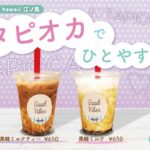 夏の江ノ島でタピオカドリンク🍹「モケス ハワイ」江ノ島店で新発売❤️