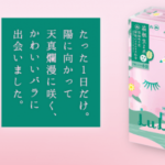 箱根でバラに出会いました🌹『箱根ルルルン（やさしいバラの香り）』新発売✨