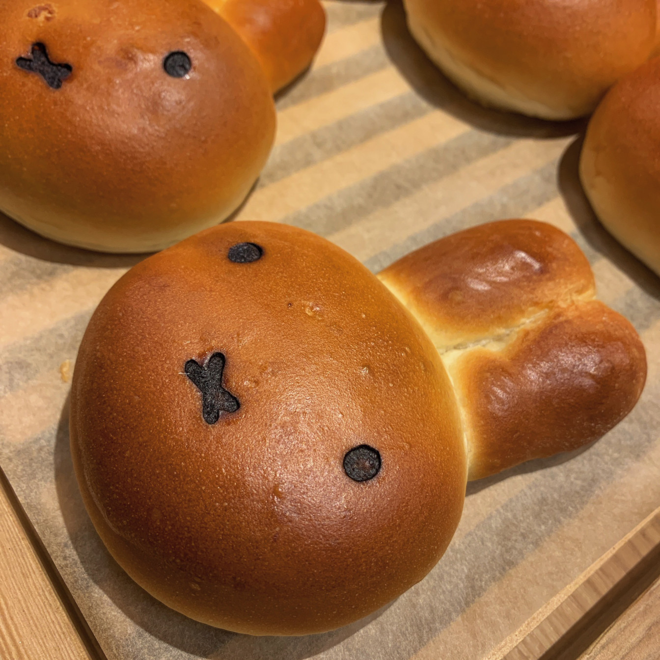 食べるのがもったいない!!京都にある可愛すぎるパンとは?!🌟