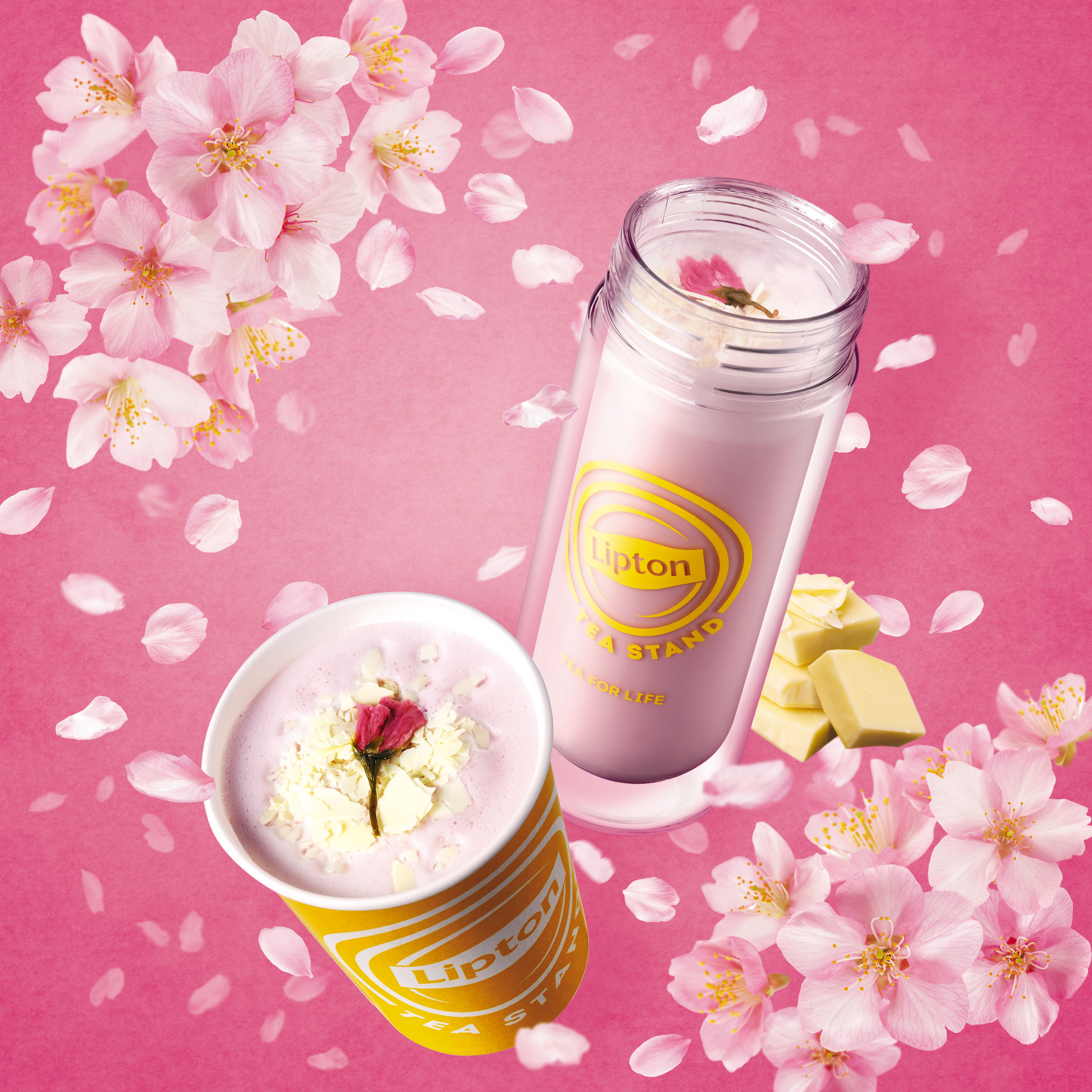 【Lipton TEA STAND】春限定メニューが登場🌟さくら香り、ふわふわな口あたりに癒される「Milk Tea さくら」が新発売🌸