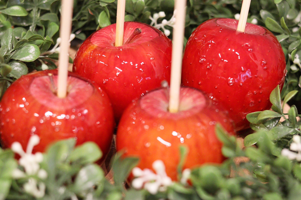 代官山本店で大行列ができるりんご飴専門店『Candy apple』が横浜に初出店🍎🌈 7月7日（火）〜13日（月）までの期間限定🧡