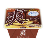 淡雪のような“ふわシャリ”新食感！『爽　生チョコinバニラ』が登場🍨🍫