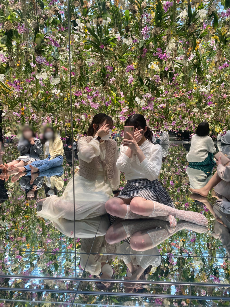 【チームラボプラネッツ】春にしか見られないランや桜の空間が期間限定で開催中☺️🎨🌸