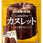 【新作お菓子】いつでもどこでも持ち歩ける、ひとくちカヌレ🥮UHA味覚糖「カヌレット」4月11日より発売😋🤎💛