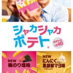 【マクドナルド】「マックフライポテト(R)」を今だけ新しい味で「シャカシャカ」できる!楽しめる🌟シャカシャカポテト(R)「梅のり塩味」「にんにく黒胡椒マヨ味」が3月8日(水)から新登場😋🍟💕💛