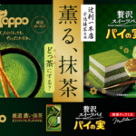 【抹茶スイーツ】辻󠄀利一本店宇治抹茶使用の新作が登場🫶🏻『パイの実＜抹茶ティラミス＞』『トッポ＜厳選濃い抹茶＞』5月9日(火)より全国で発売🐿️🍵🤍