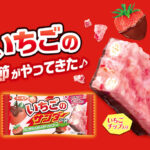 【新作お菓子】いちごの季節到来！チョコといちごでベリーハッピー♪ 『いちごのサンダー』11月14日(火)より新発売🍓💗🍫⚡️