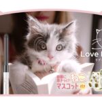 【新作コスメ】“猫の日”に合わせてラブ・ライナーが「ラブ・ライにゃ～」に変身！2月中旬より順次数量限定で発売🐈🎀💕