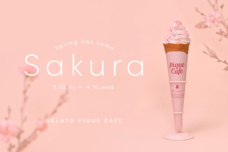 【gelato pique cafe】クレープに満開の桜を映した“ピケカフェ”のシーズナル「さくらクレープ」が3月9日(土)から販売🧁🌸🤍