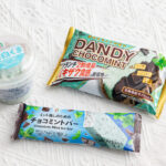 【新作アイス!!】この夏、“チョコミント愛”が止まらないセブン‐イレブンが贈るチョコミントアイスシリーズ！あの「白くま」から初のチョコミント味も7月22日(火)に登場🐻‍❄️🍨🍫💘